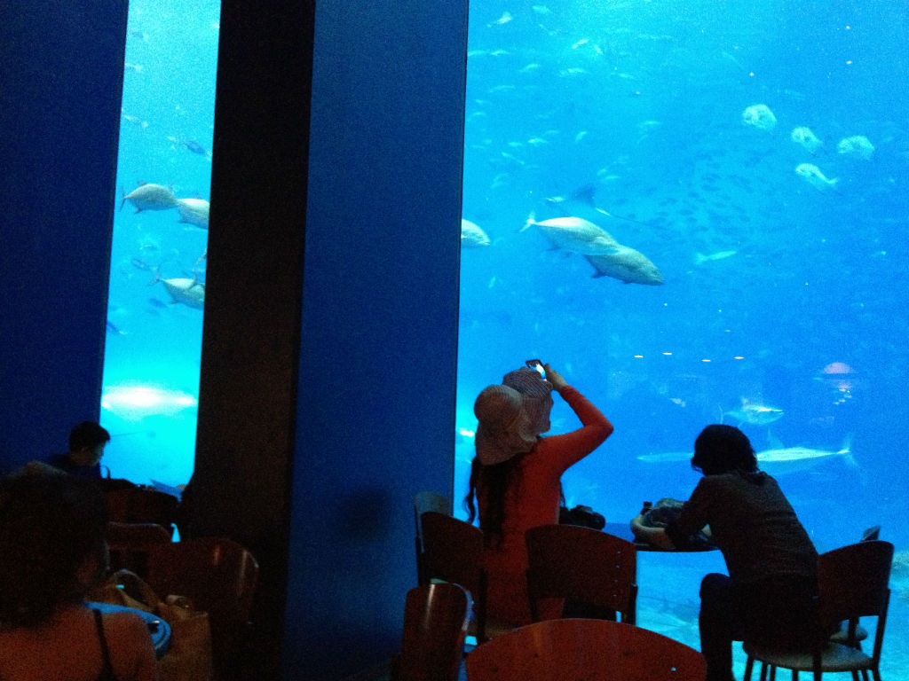 Okinawa Aquarium