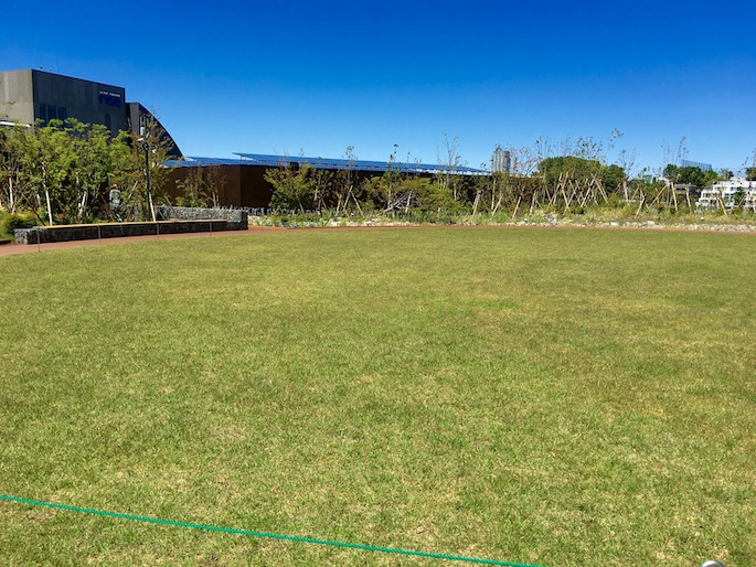 Big grass oval on the rooftop garden (top level)