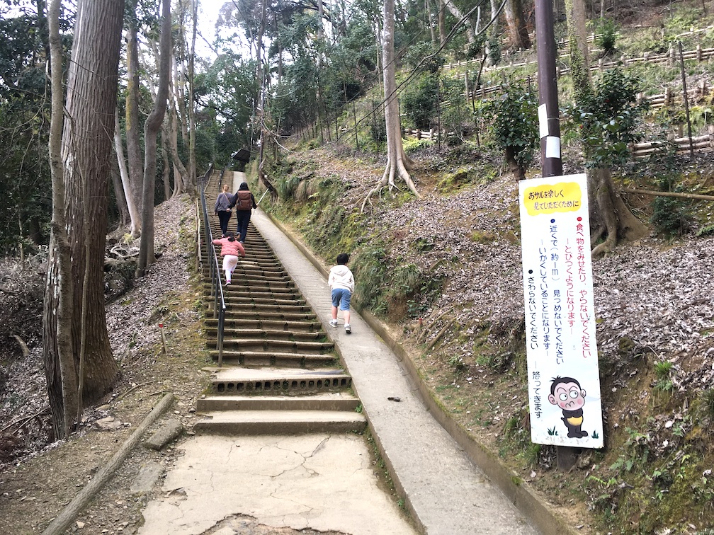 Arashiyama Monkey park