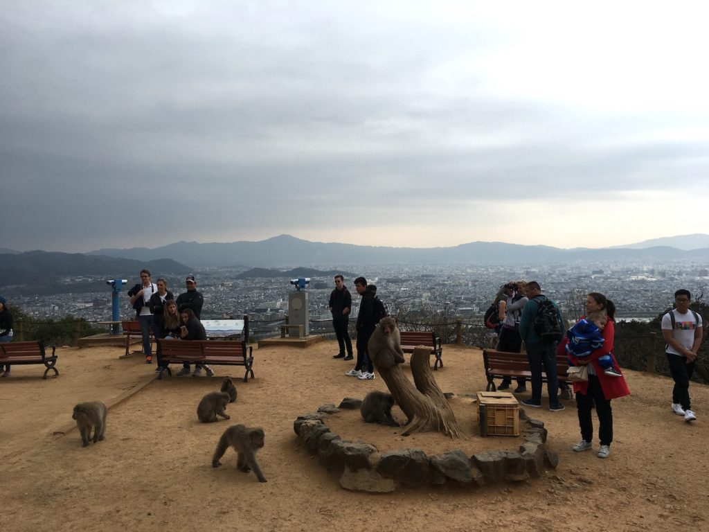 Arashiyama Monkey park view