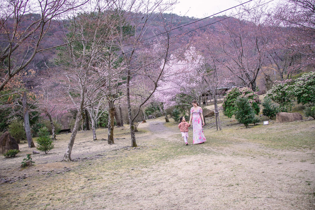 Arashiyama bamboo forest with kids cherry blossoms