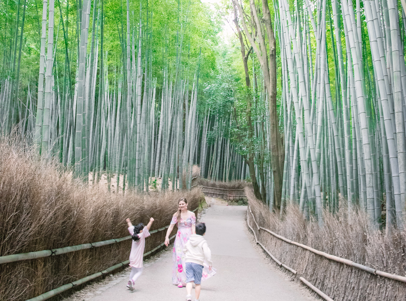 Arashiyama bamboo grove with kids