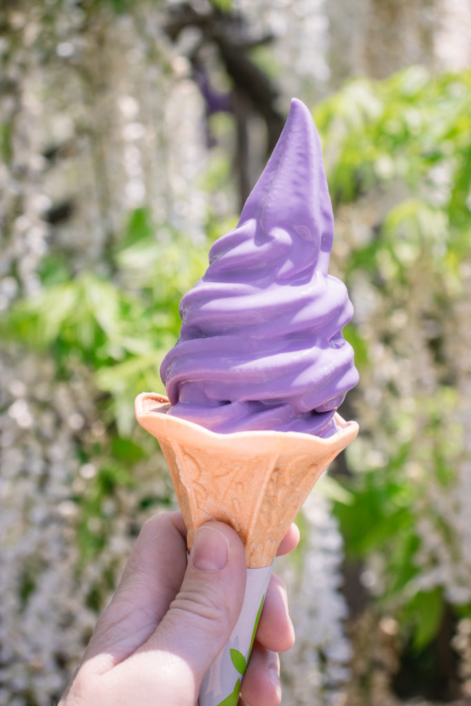 Ashikaga Flower Park purple wisteria with kids ice cream